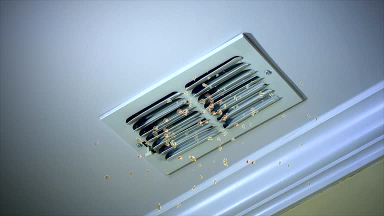 Best General Air Duct Cleaning  in Franklinton, LA